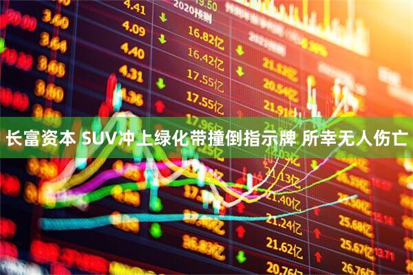 长富资本 SUV冲上绿化带撞倒指示牌 所幸无人伤亡