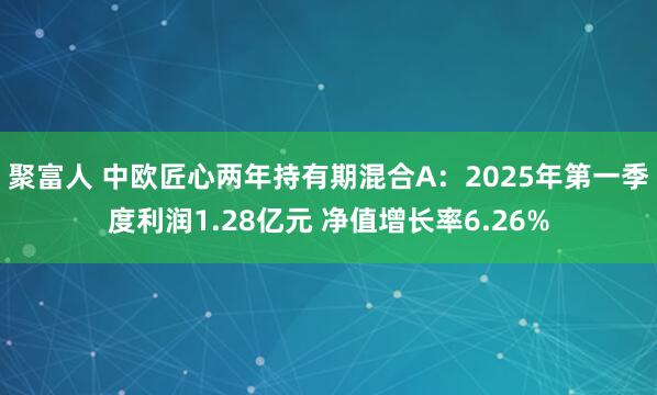 聚富人 中欧匠心两年持有期混合A：2025年第一季度利润1.28亿元 净值增长率6.26%