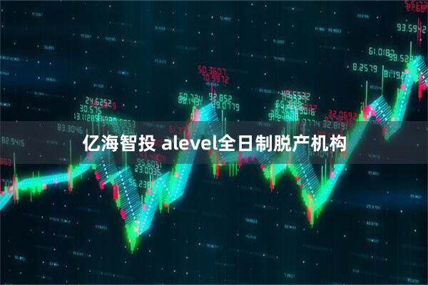 亿海智投 alevel全日制脱产机构