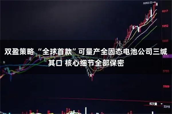 双盈策略 “全球首款”可量产全固态电池公司三缄其口 核心细节全部保密