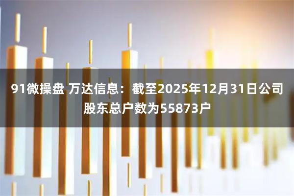 91微操盘 万达信息：截至2025年12月31日公司股东总户数为55873户