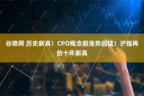 谷锦网 历史新高！CPO概念股涨势凶猛！沪指再创十年新高